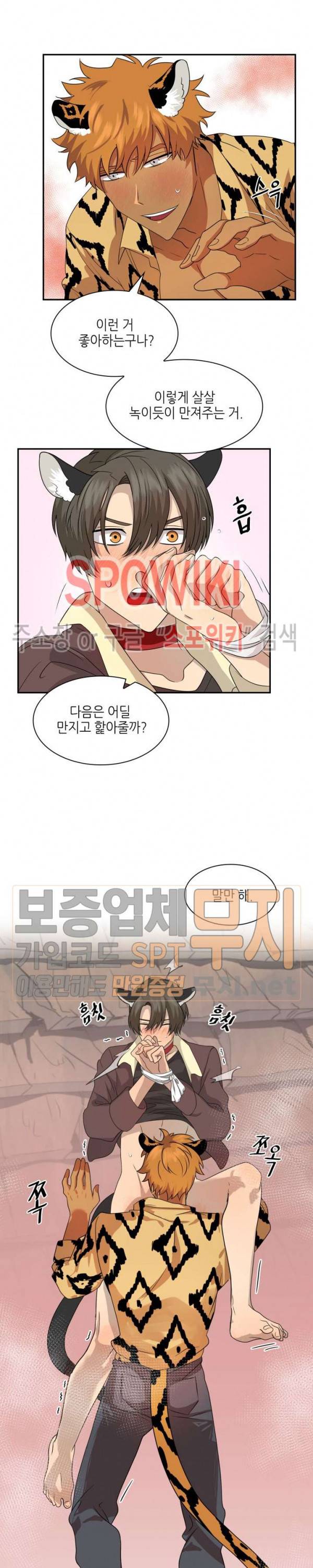 동물의 왕국 시즌2 18화 19