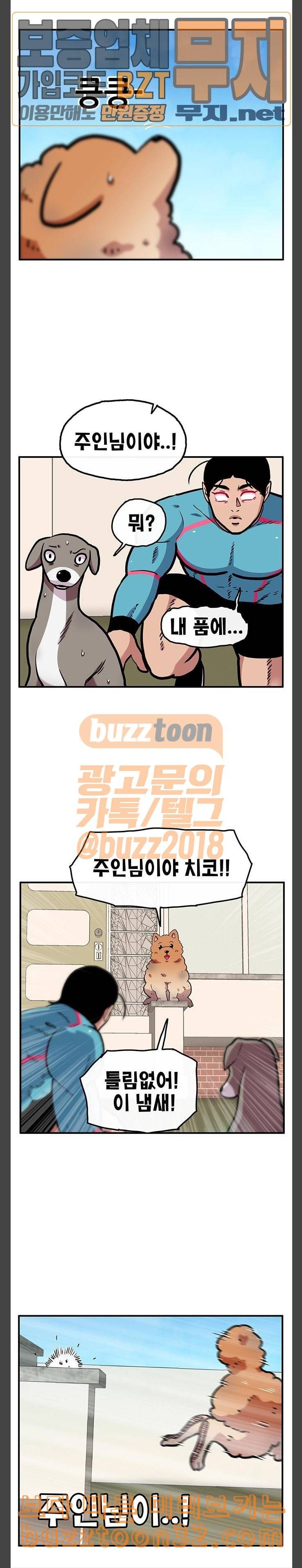 만물의 영장 31화 유기견 치코와 파이 2 4