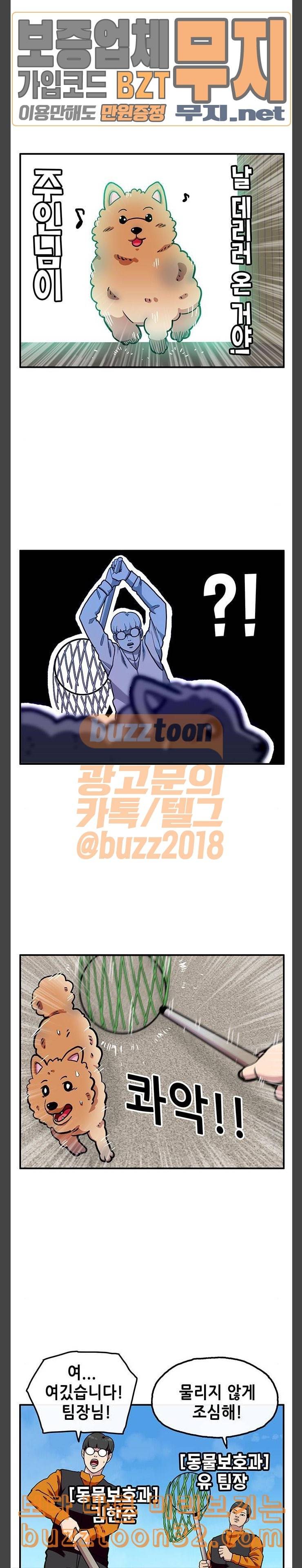 만물의 영장 31화 유기견 치코와 파이 2 5