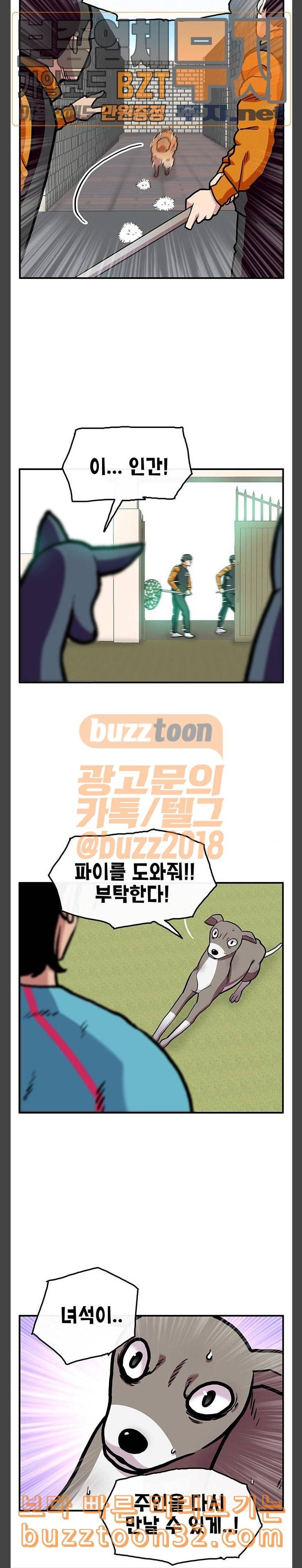 만물의 영장 31화 유기견 치코와 파이 2 7