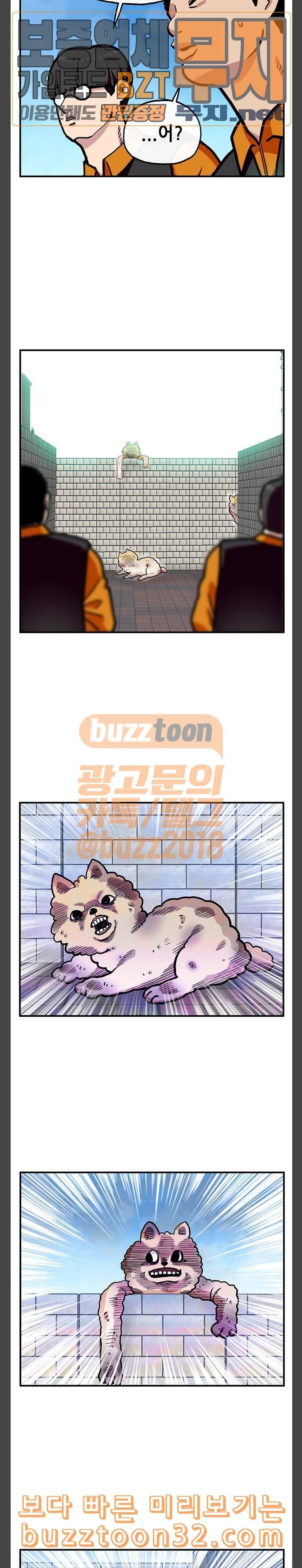 만물의 영장 31화 유기견 치코와 파이 2 13