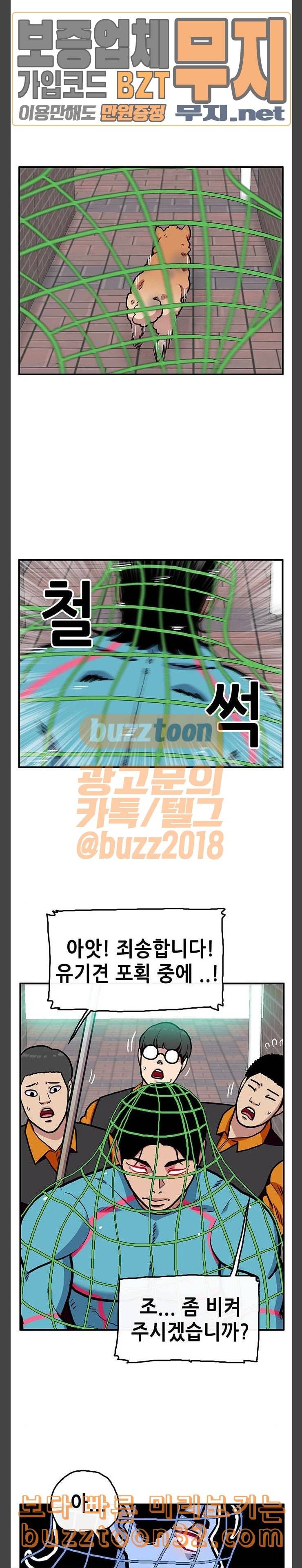 만물의 영장 31화 유기견 치코와 파이 2 16