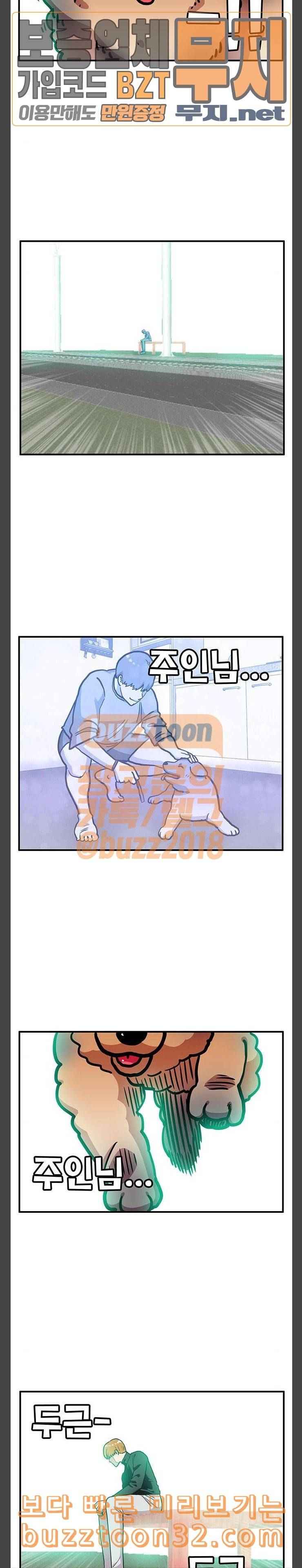 만물의 영장 31화 유기견 치코와 파이 2 19