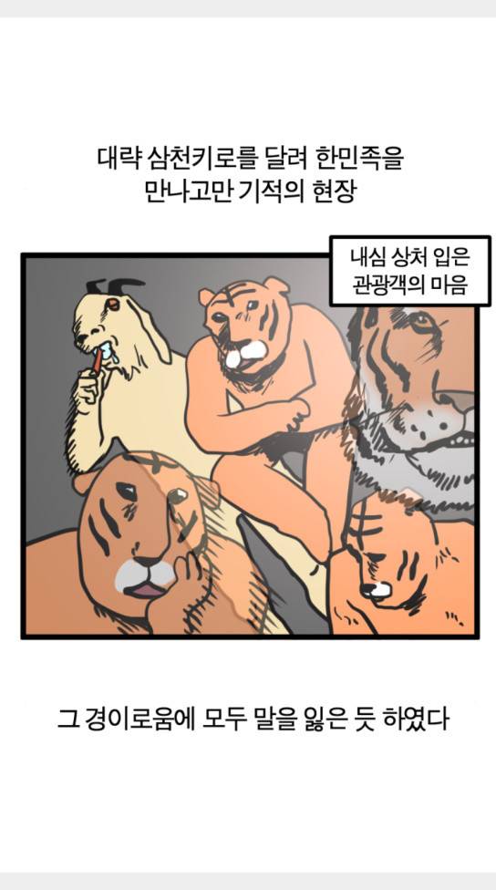 모죠의 일지 묘조의 일지 횡단 열차 타는 만화 3 17