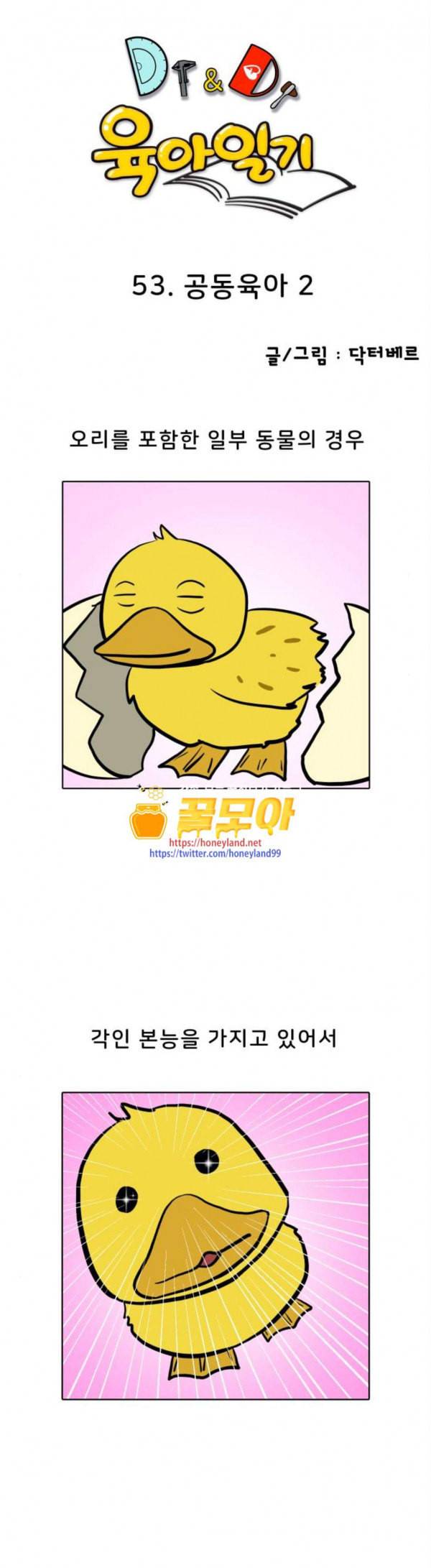 닥터앤닥터 육아일기 53 공동육아 2 1