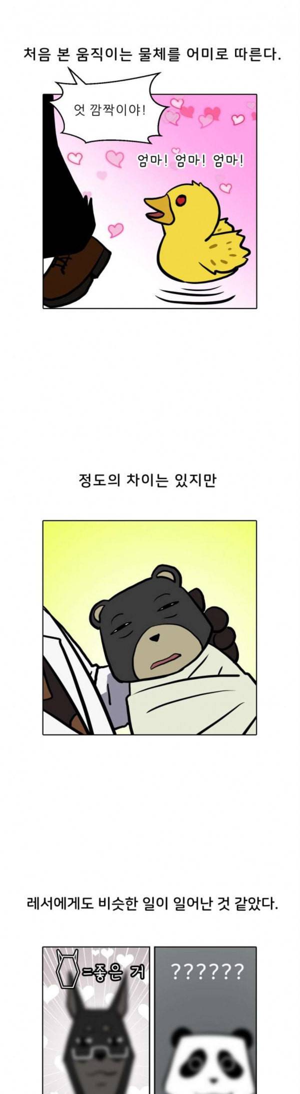 닥터앤닥터 육아일기 53 공동육아 2 2