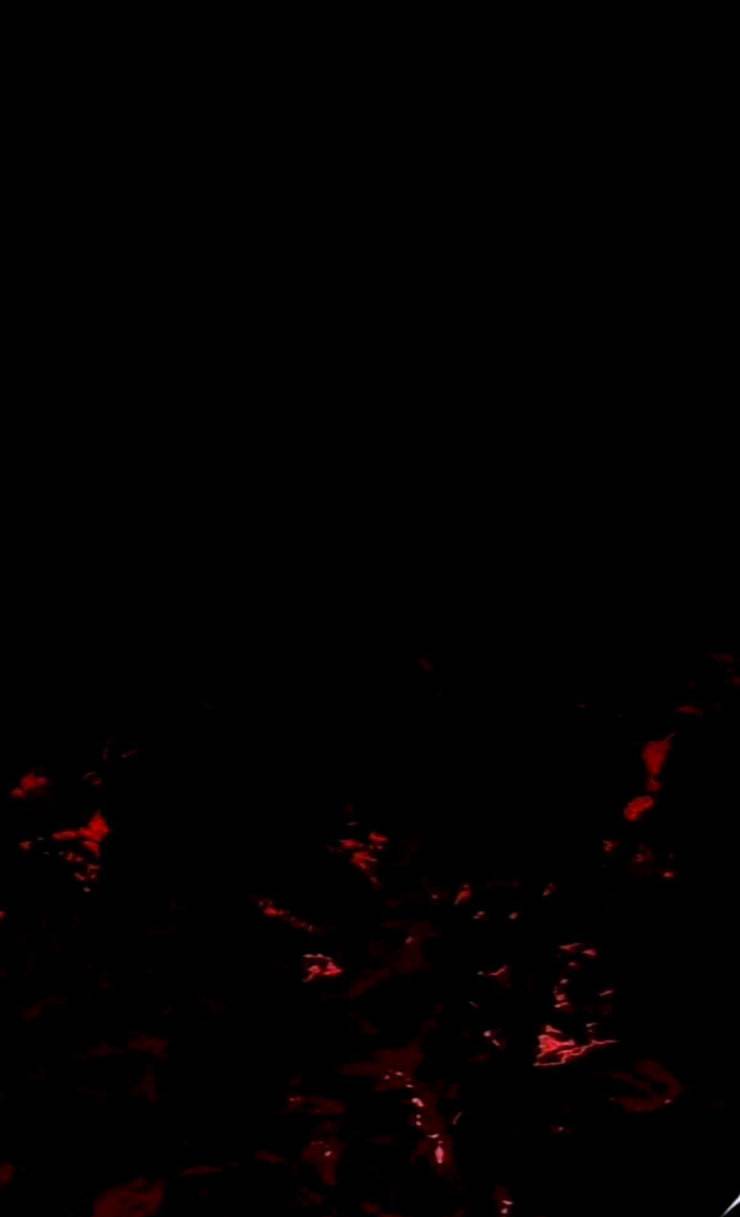 트럼프 시즌4 23화 낙하 12 34