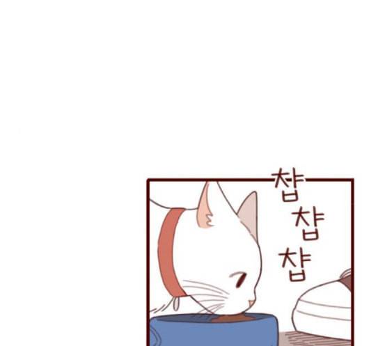 스윗솔티 10화 4