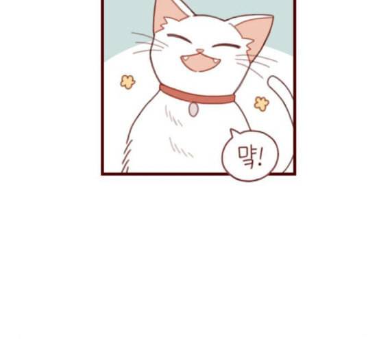 스윗솔티 10화 12