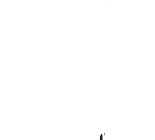 레사 시즌3 104화 85