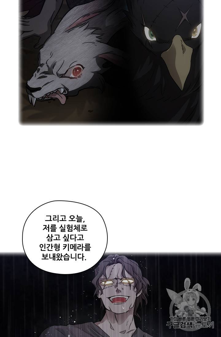 아도니스 140화 7