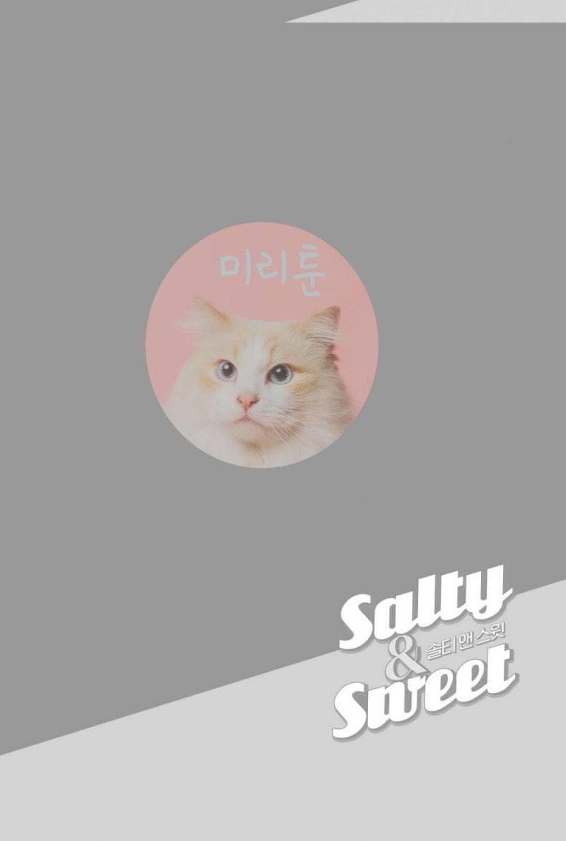 솔티앤스윗 2부 4화 4