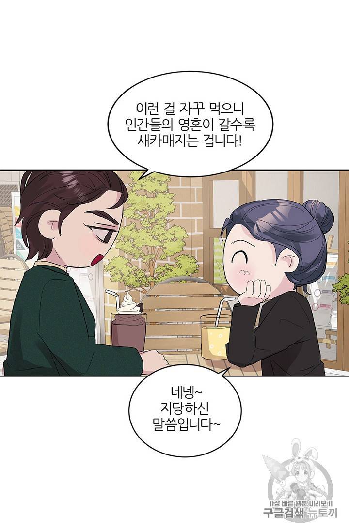 봄날의 팔광 8화 15