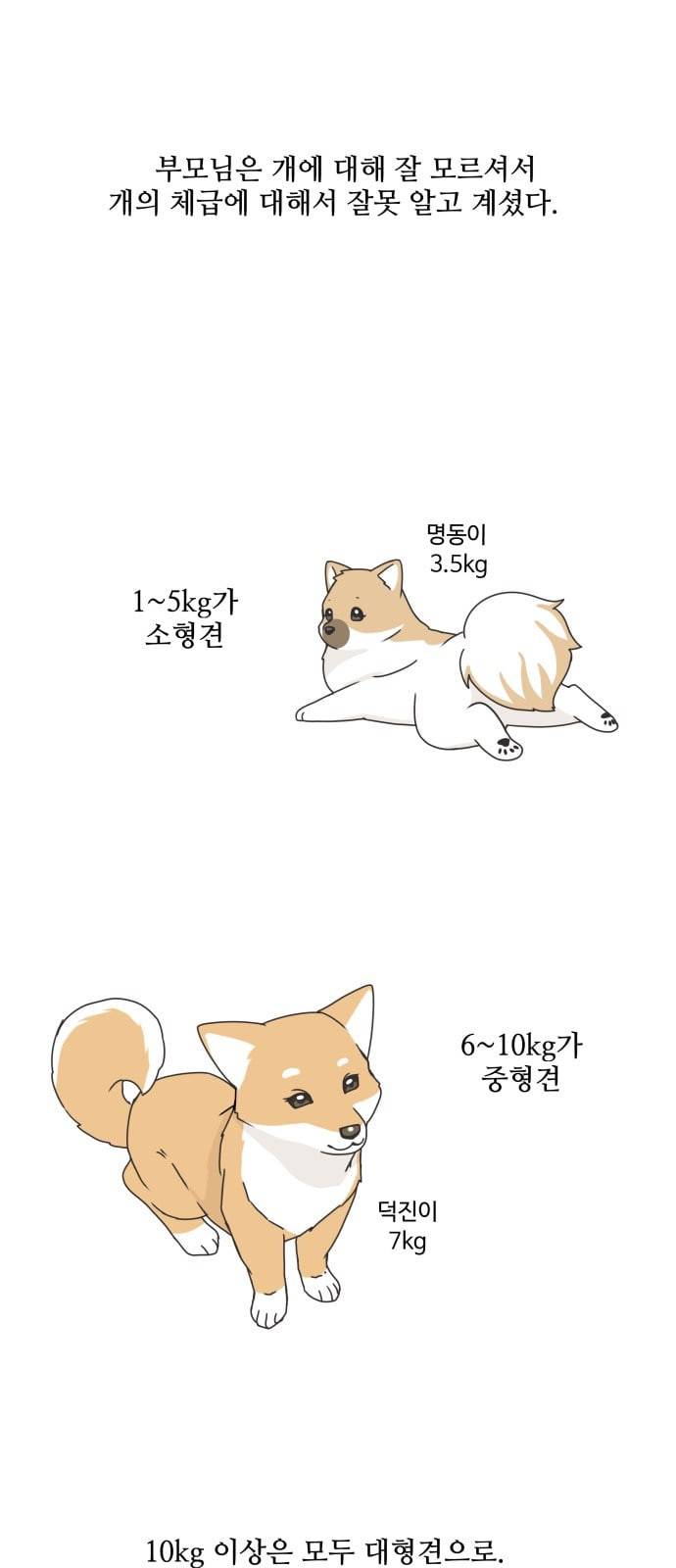 개를 낳았다 시즌2 6화 1