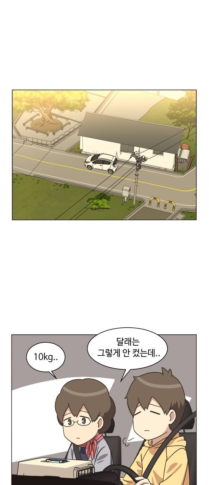 개를 낳았다 시즌2 6화 2