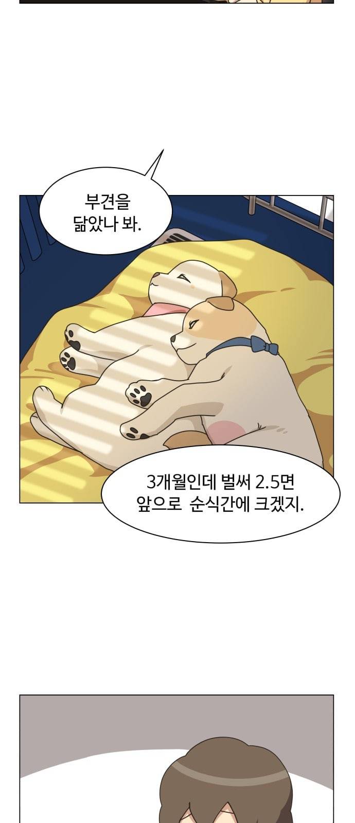 개를 낳았다 시즌2 6화 3