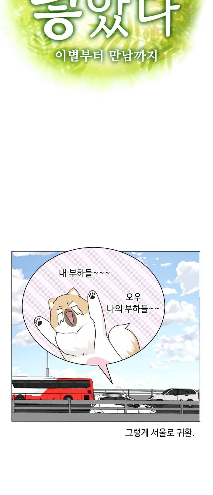 개를 낳았다 시즌2 6화 8