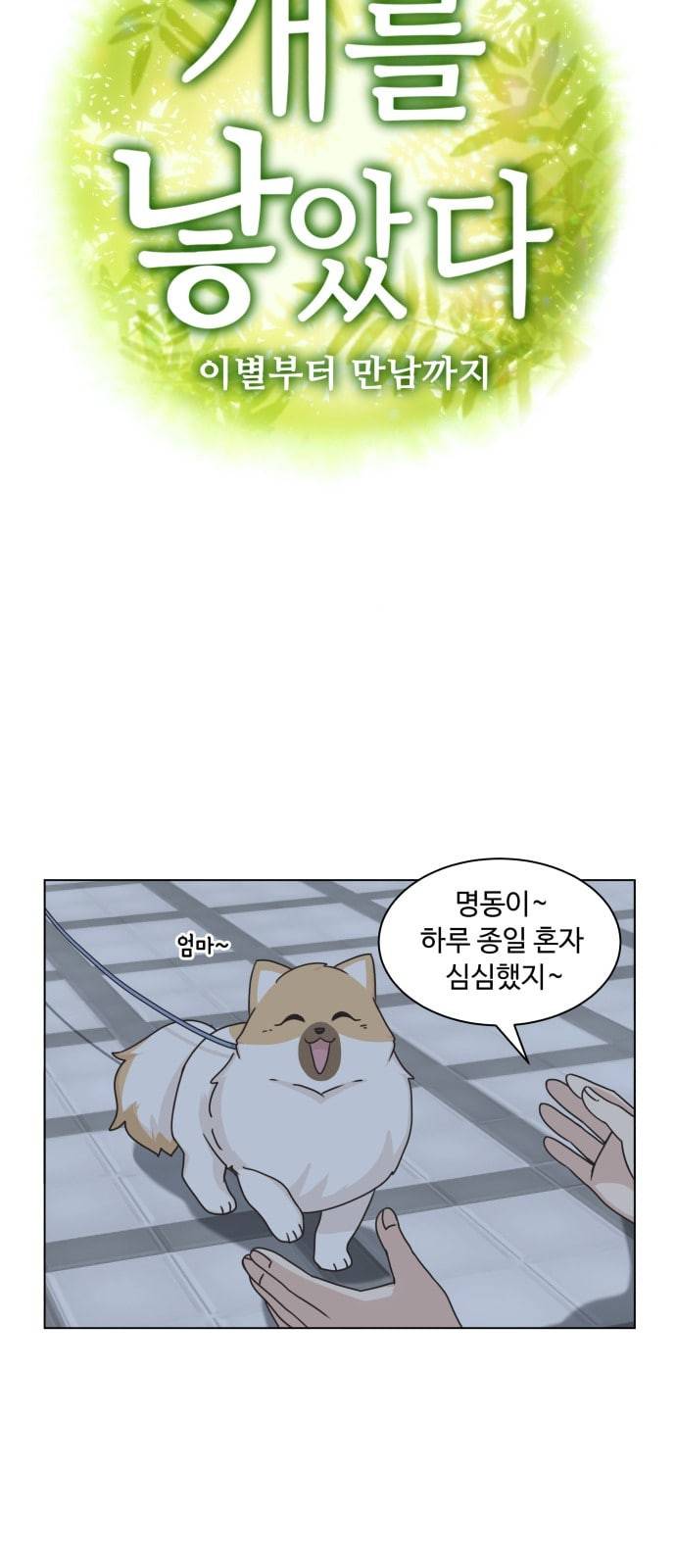 개를 낳았다 시즌2 10화 7