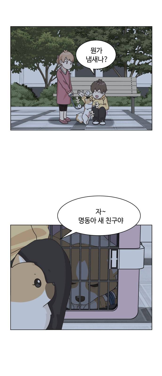 개를 낳았다 시즌2 10화 8