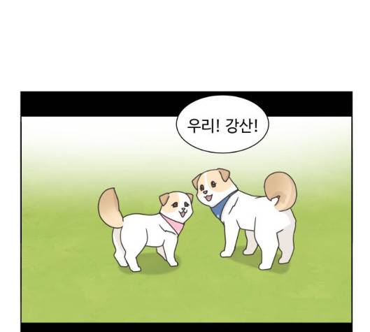 개를 낳았다 시즌2 15화 1