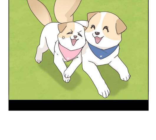 개를 낳았다 시즌2 15화 4