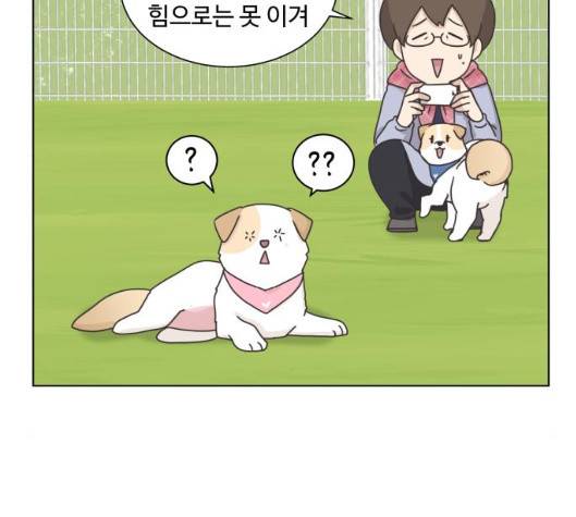 개를 낳았다 시즌2 15화 7