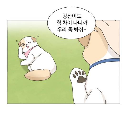 개를 낳았다 시즌2 15화 8