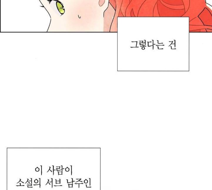 남주의 첫날밤을 가져버렸다 9화 15