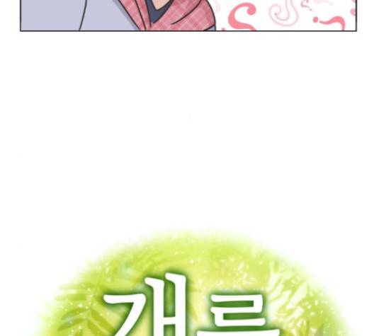 개를 낳았다 시즌2 16화 6