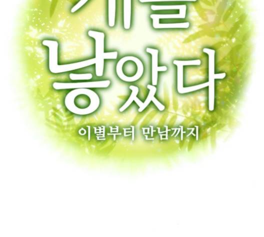 개를 낳았다 시즌2 16화 7