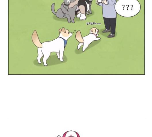 개를 낳았다 시즌2 16화 9
