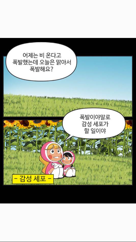 유미의 세포들 503화 3