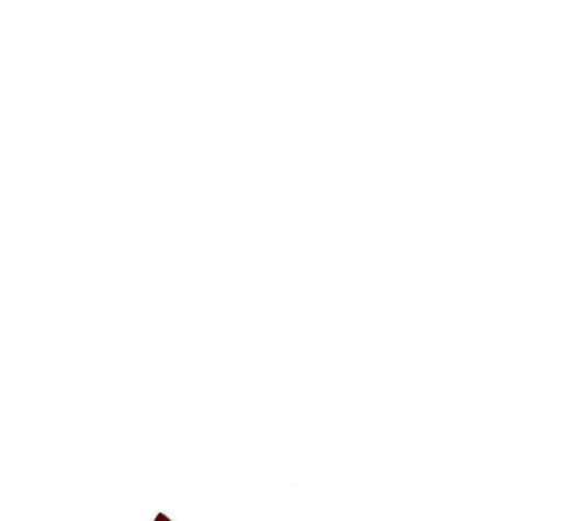 나노마신 18화 28