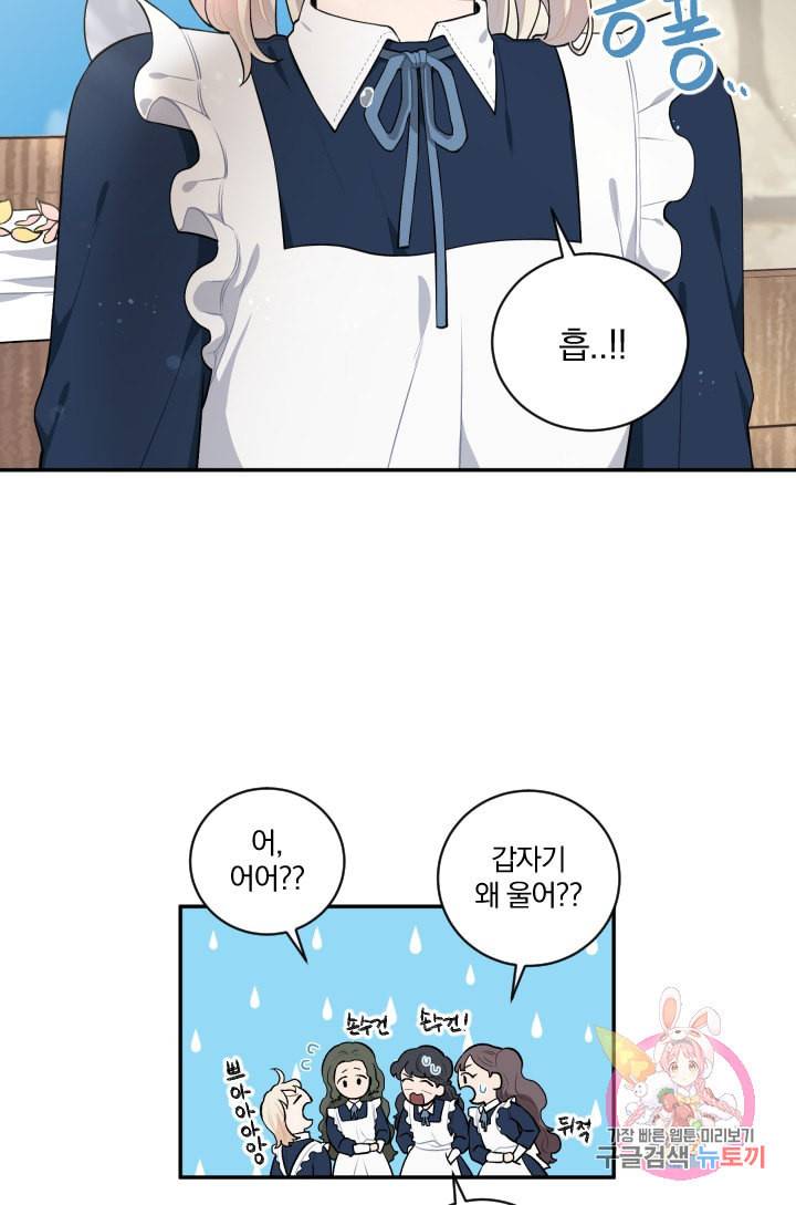 TL 소설 속 시녀가 되었습니다 33화 44