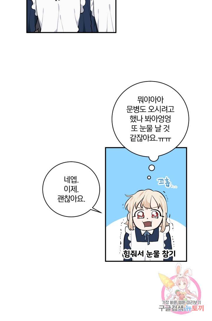 TL 소설 속 시녀가 되었습니다 33화 52