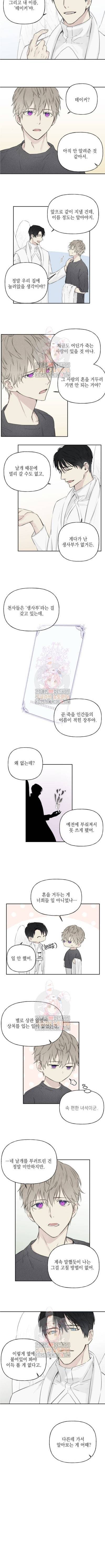 엔젤 버디 4화 4