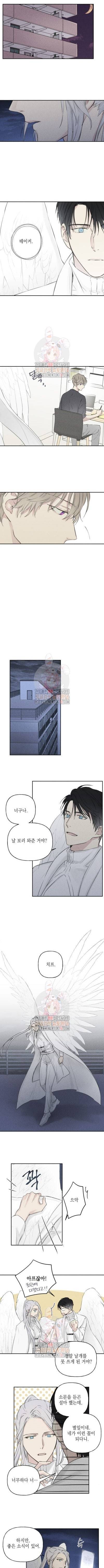 엔젤 버디 4화 5