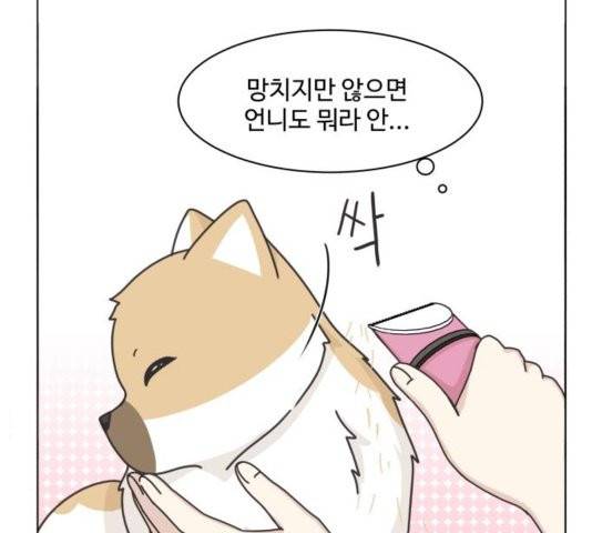 개를 낳았다 시즌2 26화 2