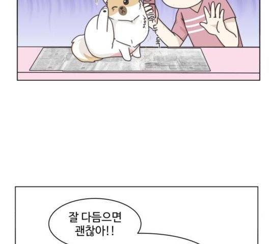 개를 낳았다 시즌2 26화 4