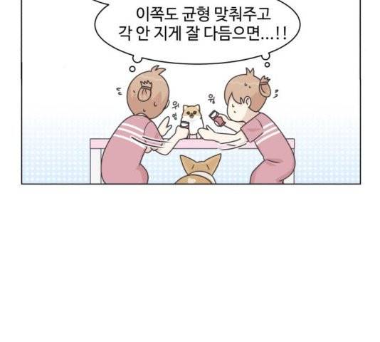 개를 낳았다 시즌2 26화 5