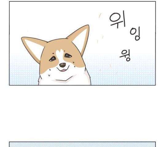 개를 낳았다 시즌2 26화 6