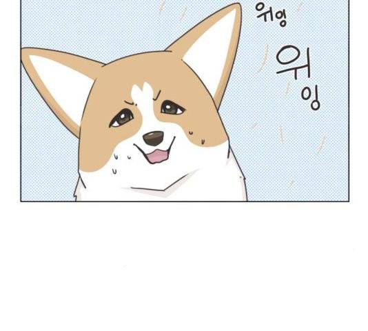 개를 낳았다 시즌2 26화 7