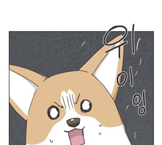 개를 낳았다 시즌2 26화 8