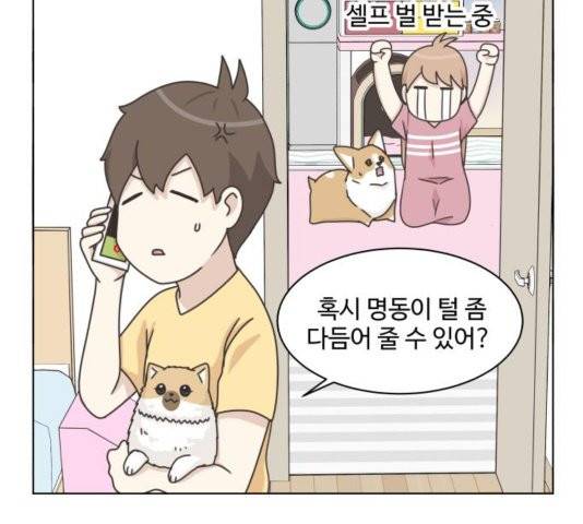 개를 낳았다 시즌2 26화 17