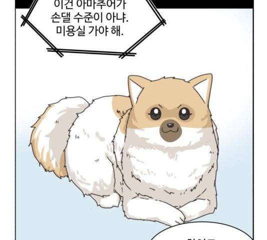 개를 낳았다 시즌2 26화 20