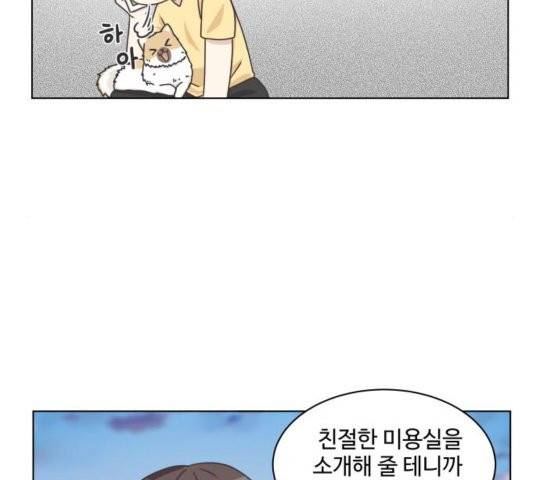 개를 낳았다 시즌2 26화 26