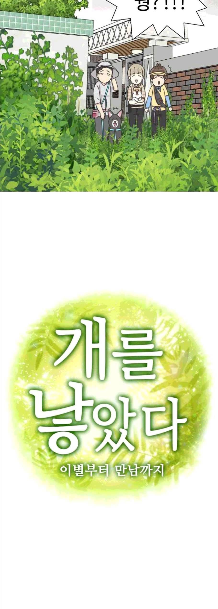 개를 낳았다 시즌2 31화 3