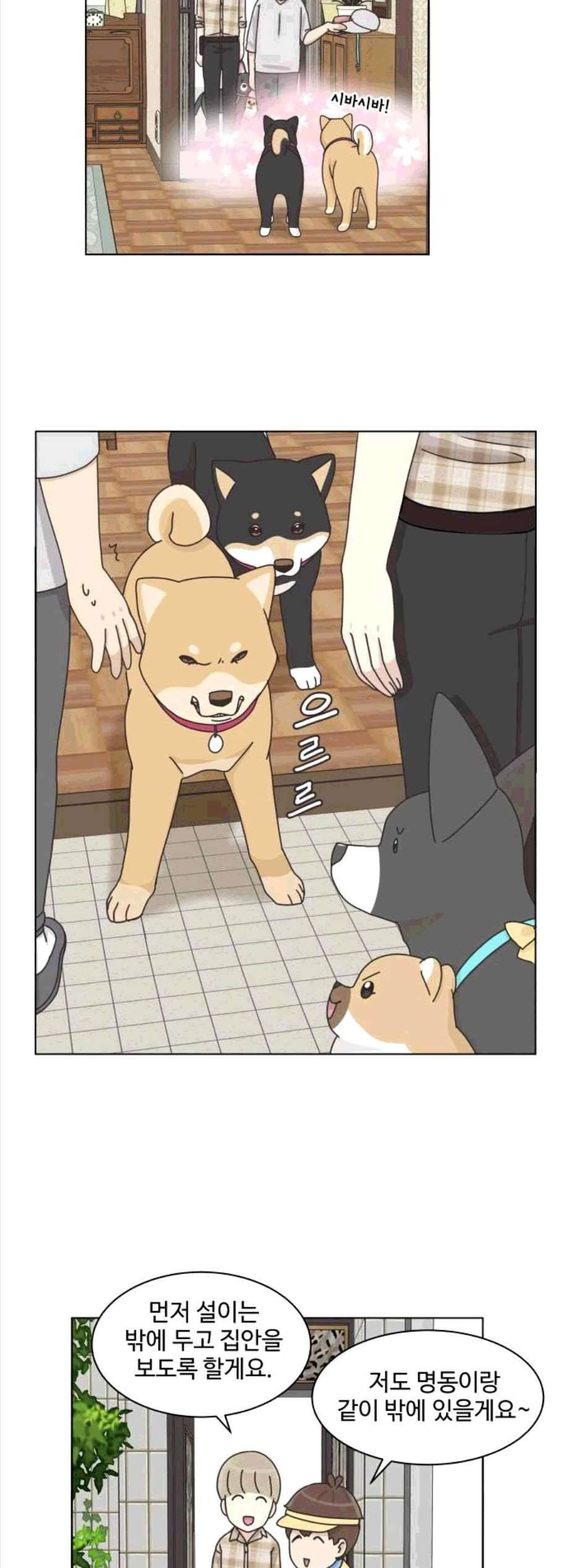 개를 낳았다 시즌2 31화 7