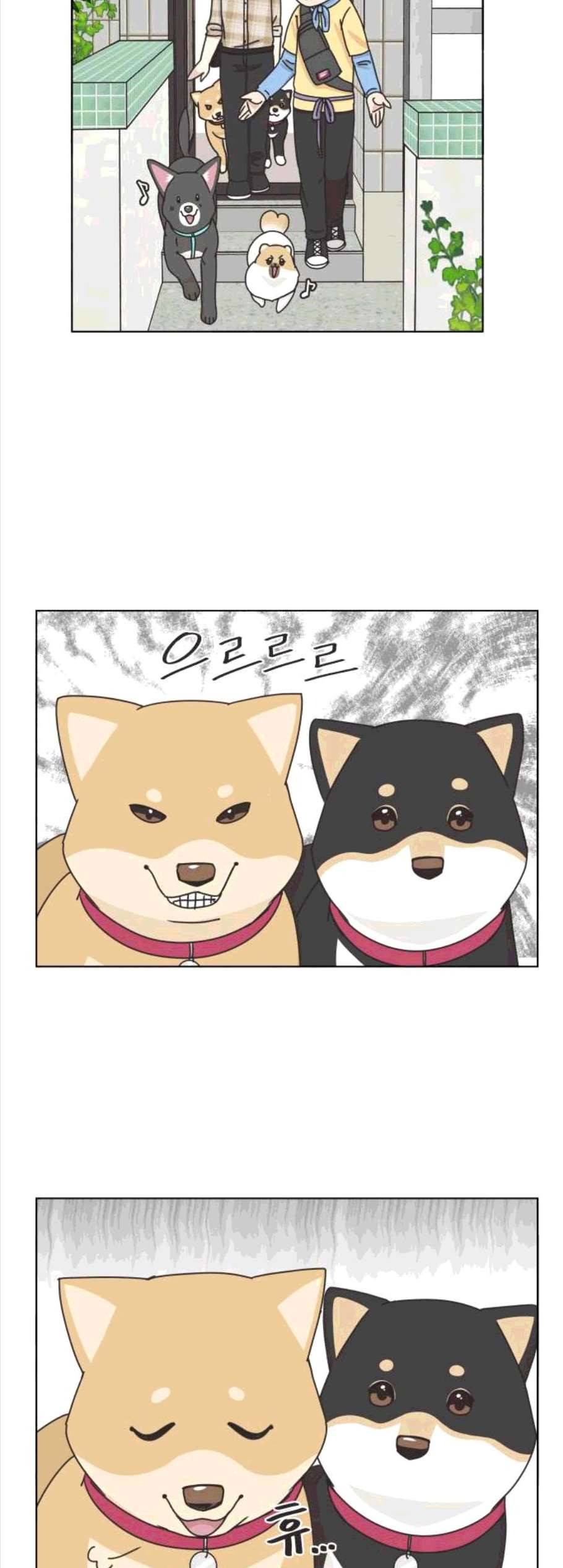 개를 낳았다 시즌2 31화 8