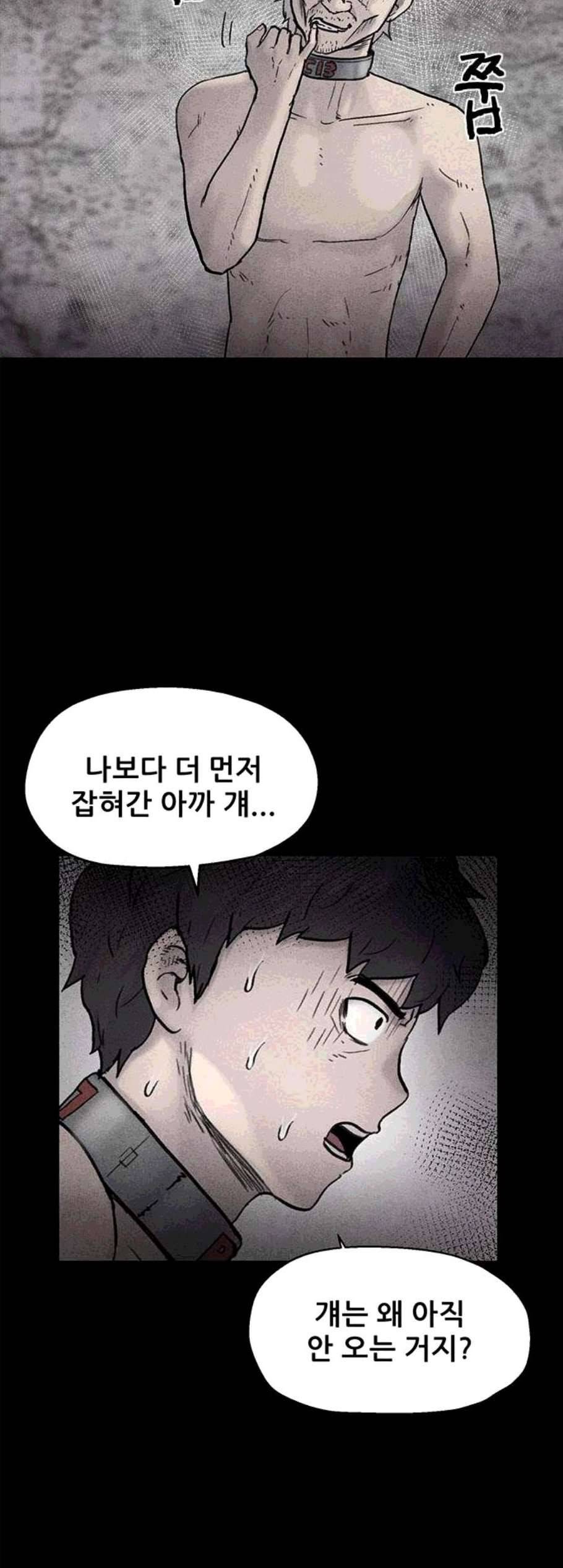 신상 미스터리 45화 인간 사육 3 38